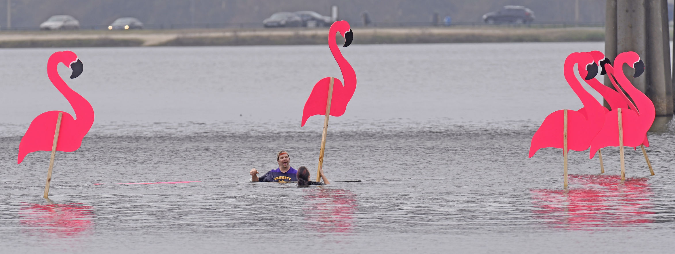 BR.wildlakeflock0231.adv bf.jpg